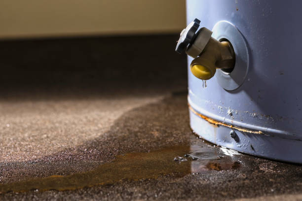 Best Water damage cleanup near me  in Loyalhanna, PA