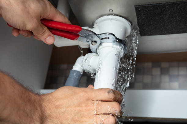 Best Local water damage restoration  in Loyalhanna, PA