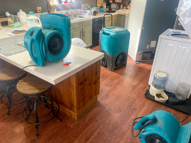Best Mold removal after water damage  in Loyalhanna, PA