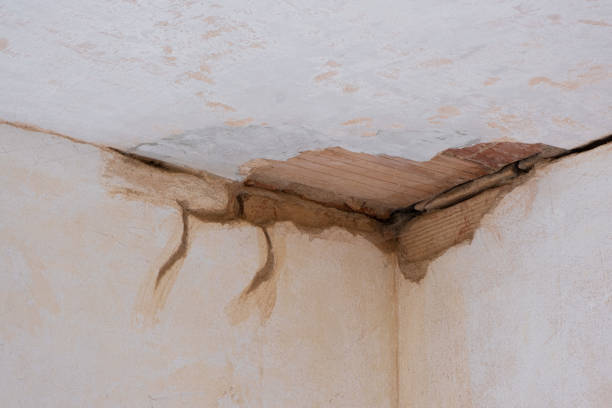 Best Commercial water damage restoration  in Loyalhanna, PA