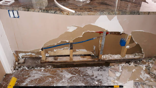 Best Flood restoration services  in Loyalhanna, PA