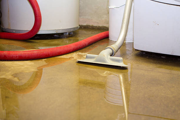 Best Water damage restoration near me  in Loyalhanna, PA