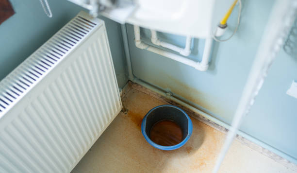 Best Carpet water damage restoration  in Loyalhanna, PA